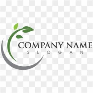 How Much Does It Cost to Get a Business Logo Design